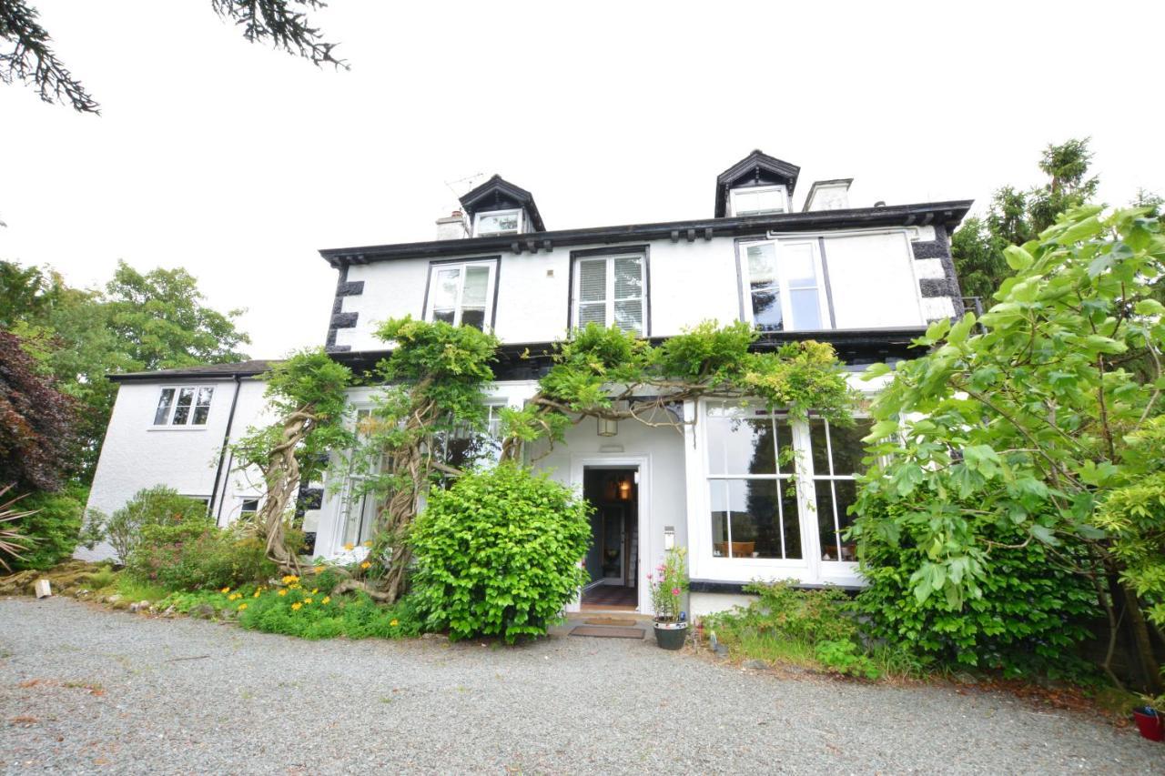 Beech Bowness-on-Windermere